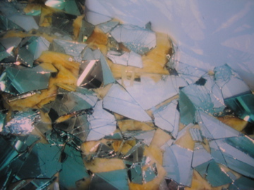 Mind Where You Step, 2003 (Installation shot 005)