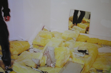 Mind Where You Step, 2004 (Installation shot 014)