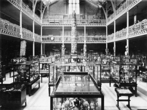 Pitt Rivers b and w